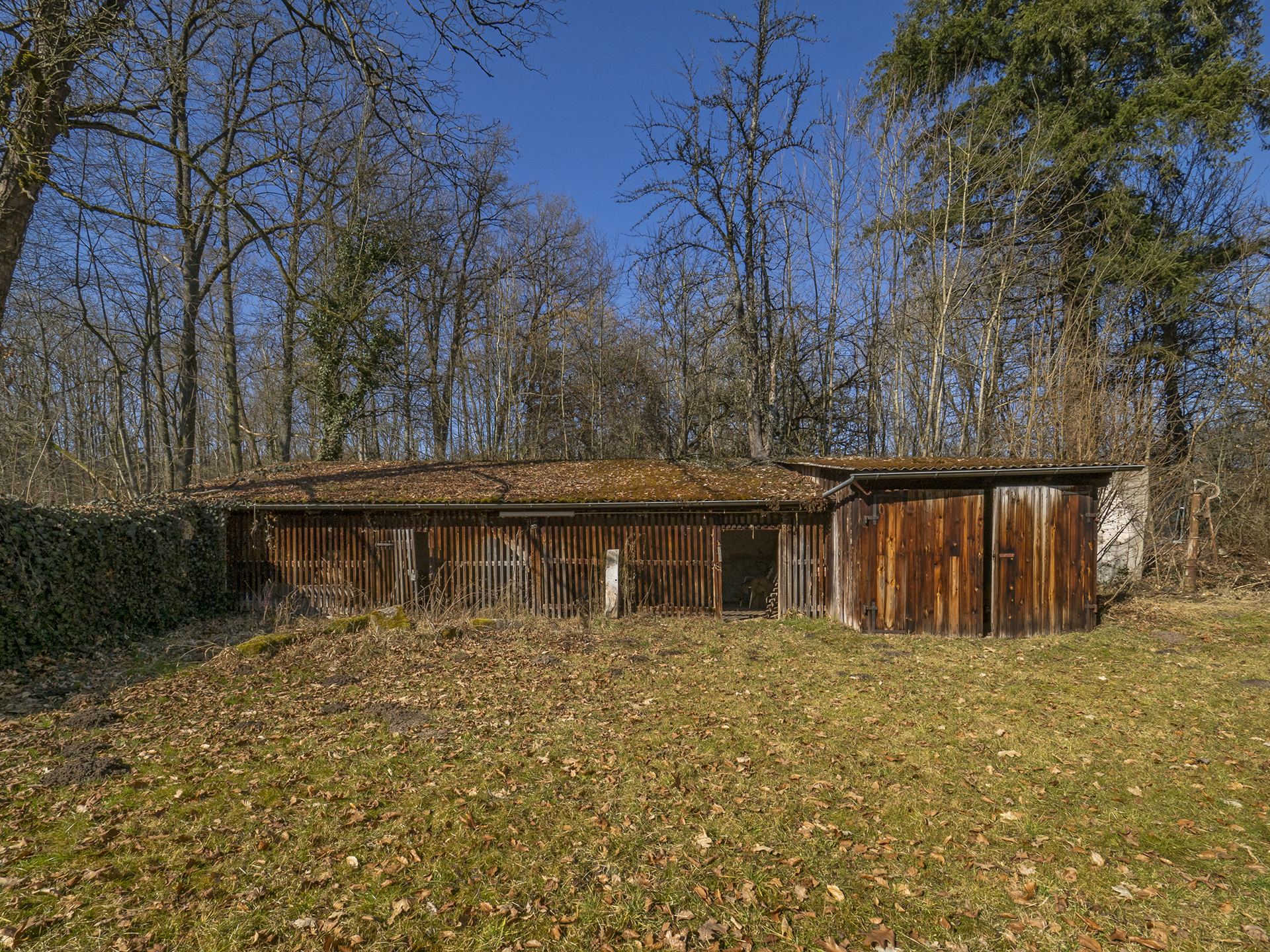Verwilderter Schuppen am Appelhof vor dem Umbau